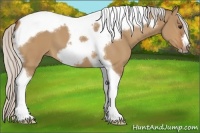 Horse Color:Silver Bay Dun Tobiano Frame 