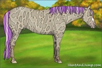 Horse Color:Painted Silver Sable Champagne Ice Dun 
