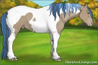 Horse Color:Painted Classic Cream Champagne Tobiano