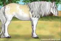 Horse Color:White Spotted Silver Buckskin Onyx Splash 