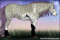 Horse Color:Watercolor Red Dun Ice Onyx Sabino 