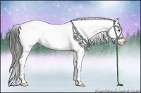 Horse Color:Black Appaloosa Rabicano 