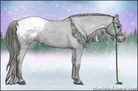 Horse Color:Black Appaloosa Rabicano