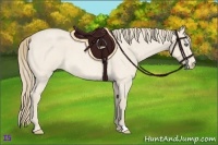 Horse Color:Perlino Roan 