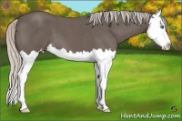 Horse Color:Silver Blue Roan Splash