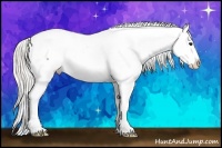 Horse Color:Silver Buckskin Appaloosa