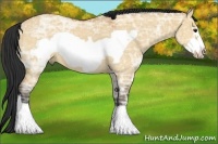 Horse Color:Bay Ice Dun Frame 