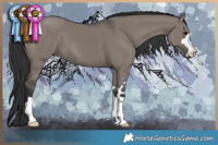 Horse Color:Grullo 
