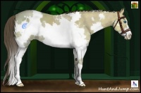 Horse Color:White Spotted Classic Champagne Ice Splash Frame 