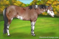 Horse Color:Brown Ice Sabino 