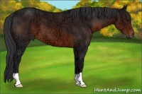 Horse Color:Brown Ice 