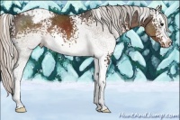 Horse Color:White Spotted Silver Brown Varnish 