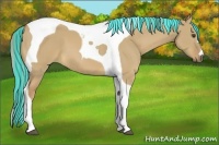 Horse Color:Painted Palomino Dun Tobiano 
