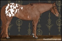 Horse Color:Chestnut Blanket 