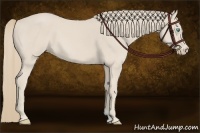 Horse Color:Smoky Creme 