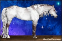 Horse Color:White Spotted Chocolate Silver Bay Chinchilla 