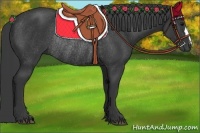 Horse Color:Black Rabicano 