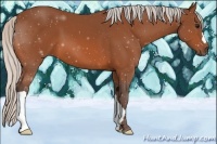 Horse Color:Silver Bay