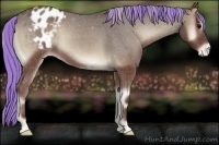 Horse Color:Painted Silver Blue Onyx Appaloosa
