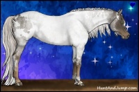 Horse Color:White Spotted Chocolate Palomino 