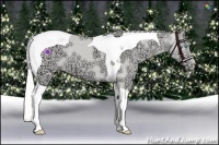 Horse Color:Cremello Ice Dun Tobiano 