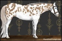 Horse Color:Palomino Splash Near Leopard 