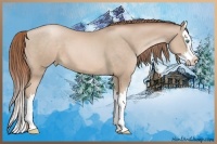 Horse Color:Smoky Black Pearl Sabino Splash 