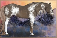 Horse Color:White Spotted Chocolate Palomino Sabino 