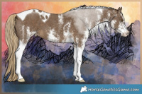 Horse Color:White Spotted Chocolate Palomino Tobiano 