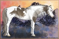 Horse Color:White Spotted Chocolate Palomino Tobiano 