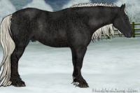 Horse Color:Liver Chestnut Ice Rabicano