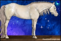 Horse Color:White Spotted Chocolate Palomino Pearl Rabicano