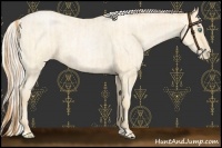 Horse Color:Buckskin Roan Pearl  and Silver Buckskin Roan Pearl 