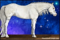 Horse Color:White Spotted Chocolate Palomino Sabino Splash 