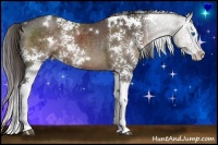 Horse Color:White Spotted Liver Chestnut Splash 