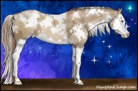 Horse Color:White Spotted Liver Chestnut Ice Pearl Splash 