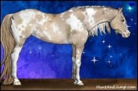 Horse Color:White Spotted Liver Chestnut Ice Pearl Sabino