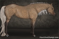Horse Color:Silver Brown Dun 