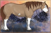 Horse Color:Red Dun Roan Splash Frame Rabicano 