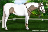 Horse Color:Chocolate Palomino Splash Tobiano 
