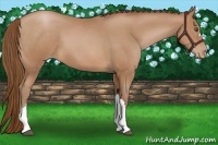 Horse Color:Brown Pearl