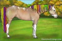Horse Color:Painted Liver Red Dun Splash Tobiano Rabicano  and Painted Brown Dun Splash Rabicano 