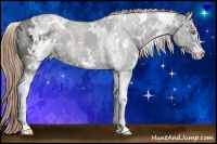 Horse Color:White Spotted Liver Chestnut Ice