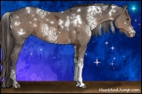 Horse Color:White Spotted Liver Chestnut Ice 
