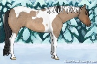 Horse Color:Bay Roan Dun Tobiano