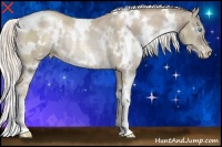 Horse Color:White Spotted Chocolate Palomino Pearl Rabicano