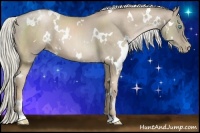 Horse Color:White Spotted Chocolate Palomino Pearl 