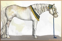 Horse Color:White Spotted Liver Red Onyx Pearl Frame 