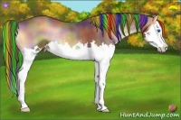 Horse Color:Painted Nacre Red Onyx Sabino Splash Rabicano