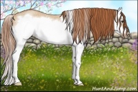 Horse Color:Red Dun Roan Splash Frame Rabicano 